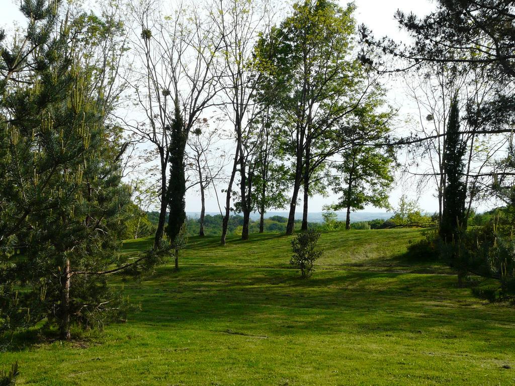 Château de la Comtesse Saint-Martin-Petit Extérieur photo